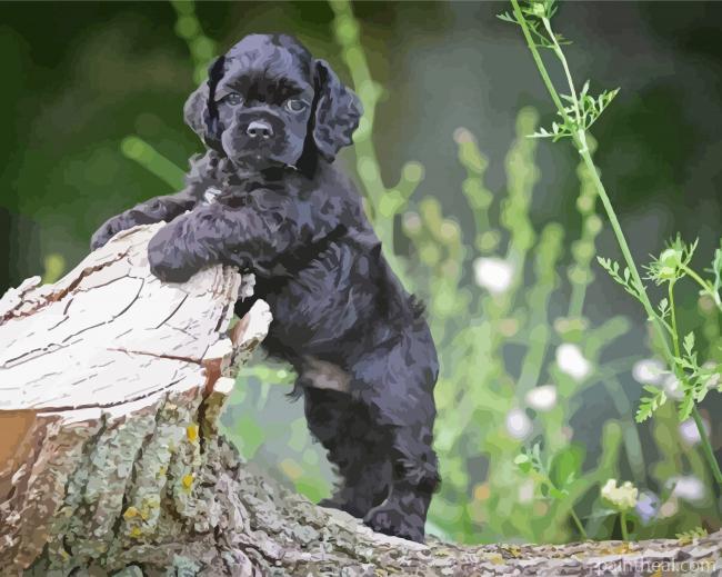 Cocker Spaniel Puppy Painting By Numbers Kits
