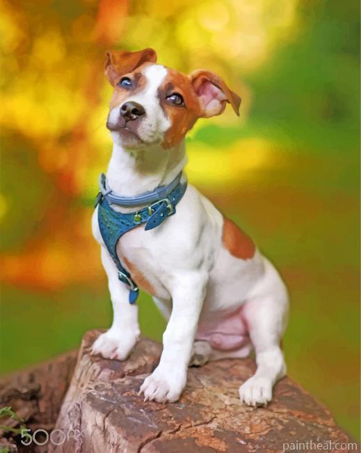 Jack Russell Animal Painting By Numbers Kits