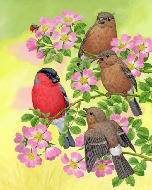Brown Birds And Bullfinch Painting By Numbers Kits