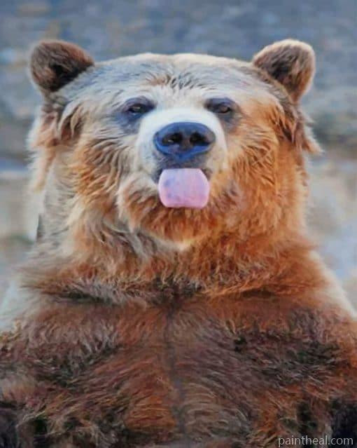 Funny Bear Painting By Numbers Kits