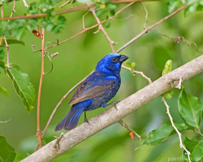 Deep Blue Bird Painting By Numbers Kits
