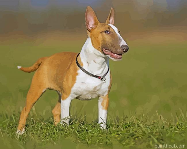 English Bull Terrier Painting By Numbers Kits