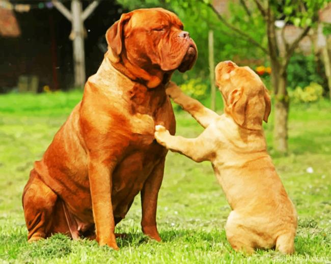 Dogue de Bordeaux Painting By Numbers Kits