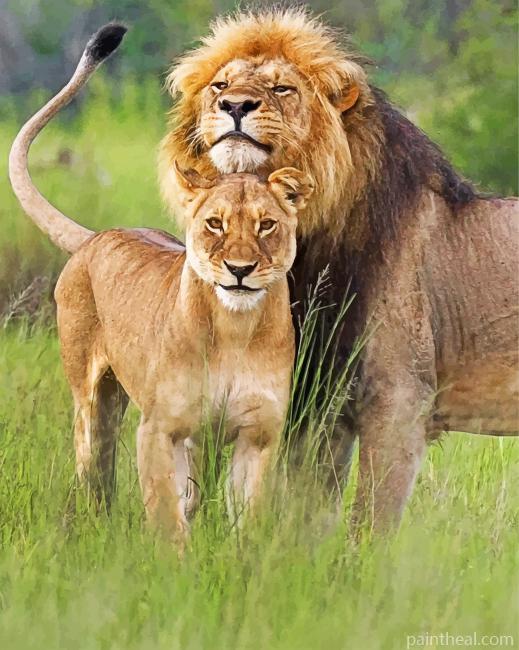 Lion And Lioness Couple Painting By Numbers Kits
