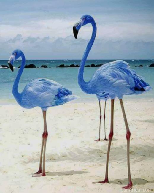 Blue Flamingos Painting By Numbers Kits