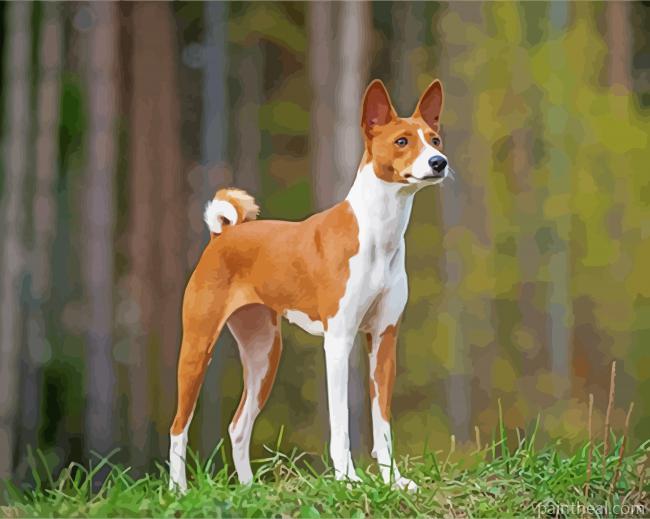 Aesthetic Basenji Puppy Painting By Numbers Kits
