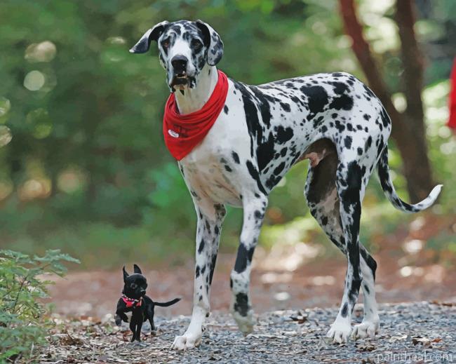 Great Dane Dog Animal Painting By Numbers Kits