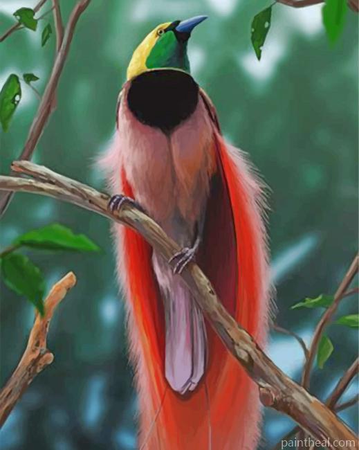 Bird Of Paradise Painting By Numbers Kits