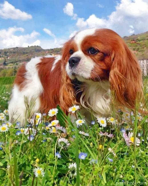 King Charles Spaniel Dog Painting By Numbers Kits