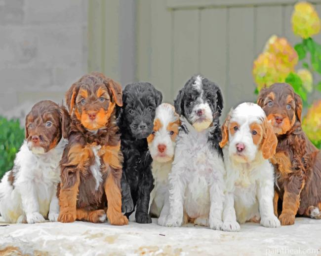 Golden Dooodles Puppies Painting By Numbers Kits