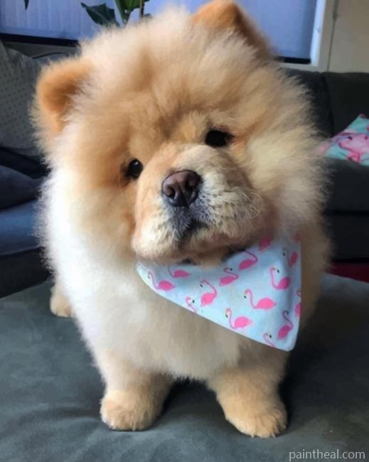 Chow Chow Puppy Painting By Numbers Kits