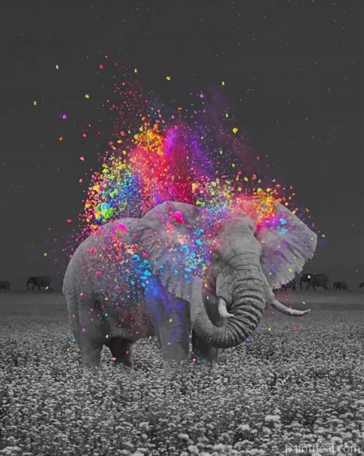 Elephant And Colors Painting By Numbers Kits