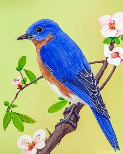 Eastern Bluebird On Branch Painting By Numbers Kits