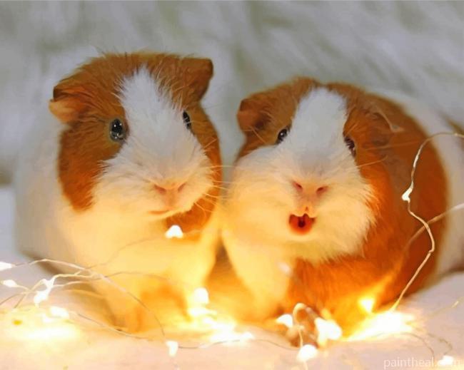 Adorable Guinea Pigs Painting By Numbers Kits