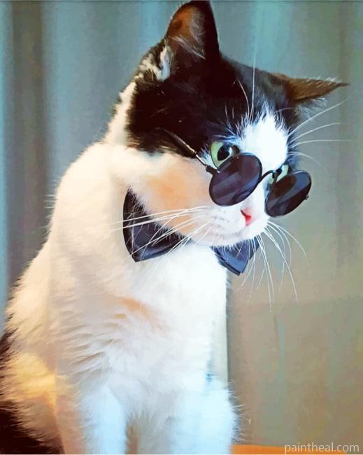Cat With Black Sunglasses Painting By Numbers Kits