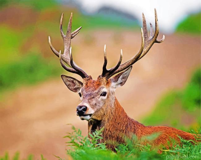 Aesthetic Stag Painting By Numbers Kits