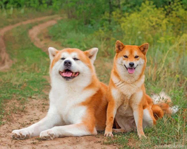 Japanese Akitas Painting By Numbers Kits