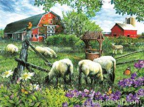 Farm Sheep Painting By Numbers Kits