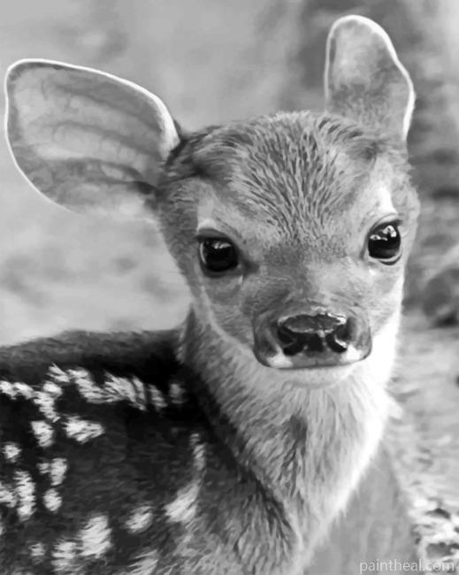 Baby Cute Reindeer Painting By Numbers Kits