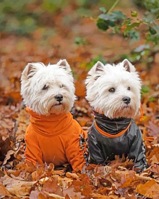 Adorable Westie Dogs Painting By Numbers Kits