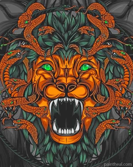 Mad Dragon Painting By Numbers Kits