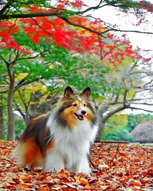 Sheltie Enjoying The Autumn Painting By Numbers Kits