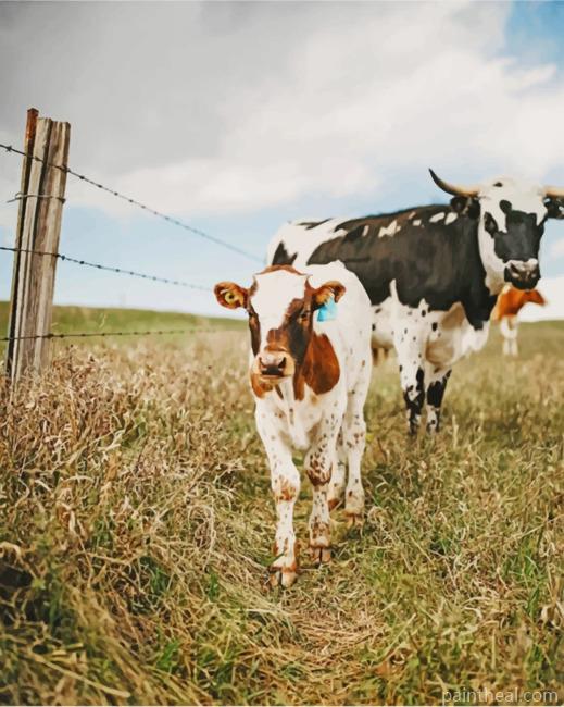 Western Cow Painting By Numbers Kits