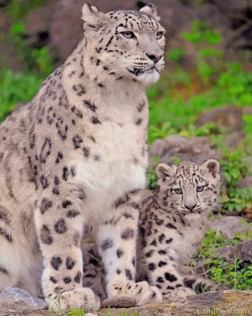 Snow Leopard With Her Cubs – 5D Diamond Painting Painting By Numbers Kits