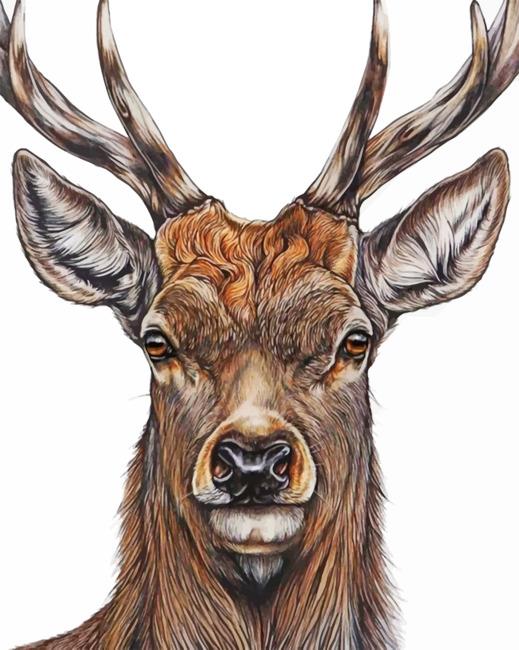 Aesthetic Deer Head Painting By Numbers Kits