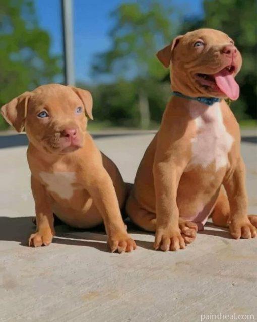 Baby Pit Bull Dogs Painting By Numbers Kits