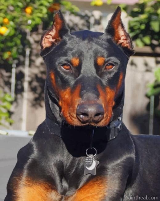 Ddoberman – 5D Diamond Paintings Painting By Numbers Kits
