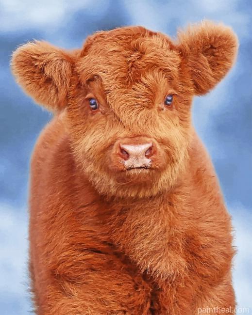 Baby Cow Painting By Numbers Kits