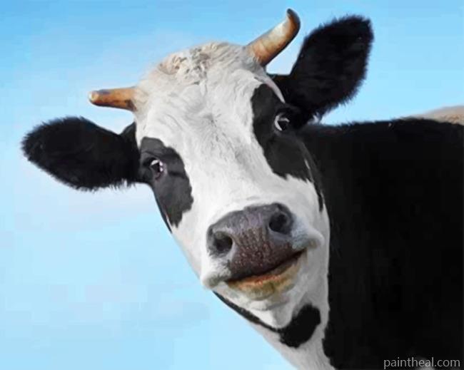 Cow Face Painting By Numbers Kits