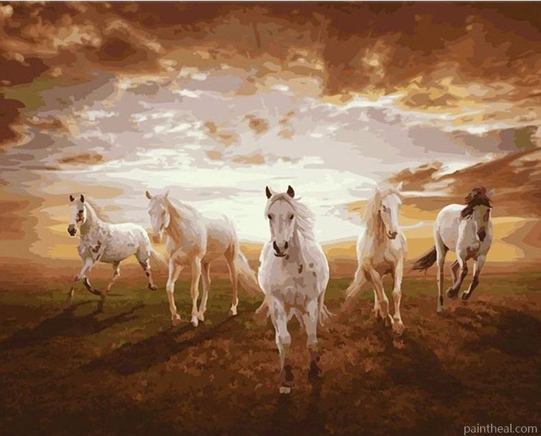 Horses Galloping On Sunset Painting By Numbers Kits