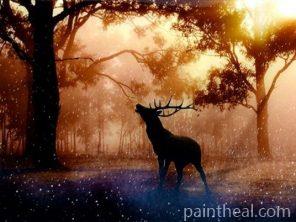 Twilight Deer – 5D Diamond Paintings Painting By Numbers Kits