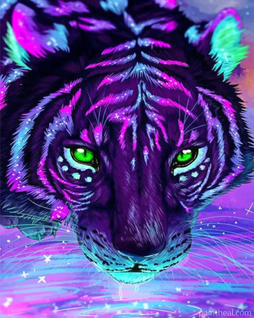 Colorful Galaxy Tiger Painting By Numbers Kits