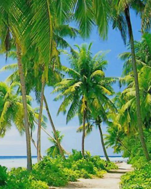 Puerto Rico Beach With Palms Painting By Numbers Kits