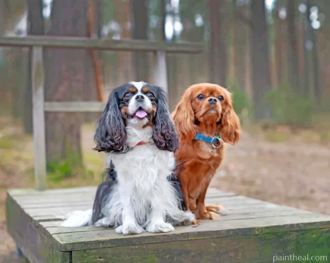 Male And Female Cavalier King Charles Painting By Numbers Kits