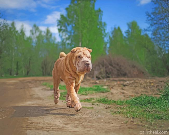 Chinese Shar Pei Painting By Numbers Kits