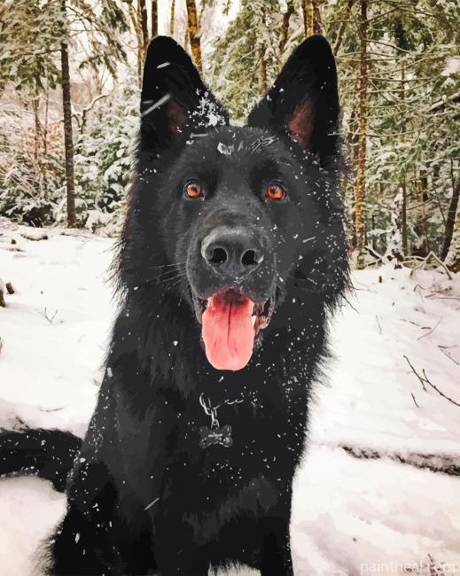 Black German Shepherd Painting By Numbers Kits