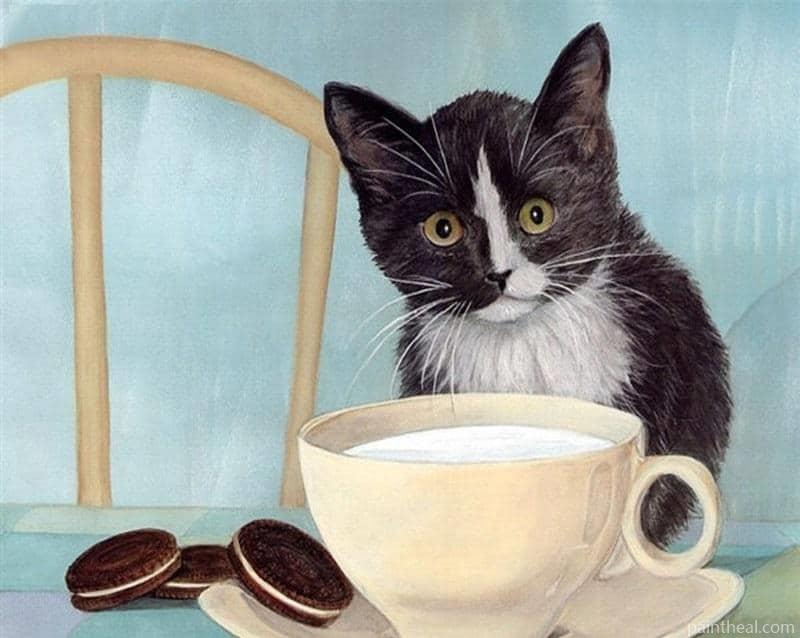 Cat Drinking Milk Painting By Numbers Kits