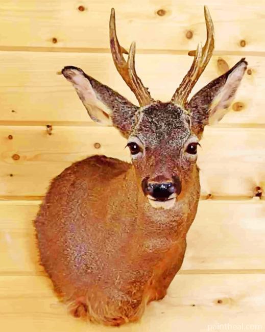 Roe Deer Head Mounted Painting By Numbers Kits