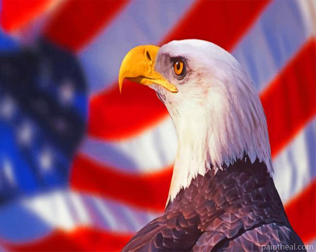 Patriotic Eagle Bird Painting By Numbers Kits