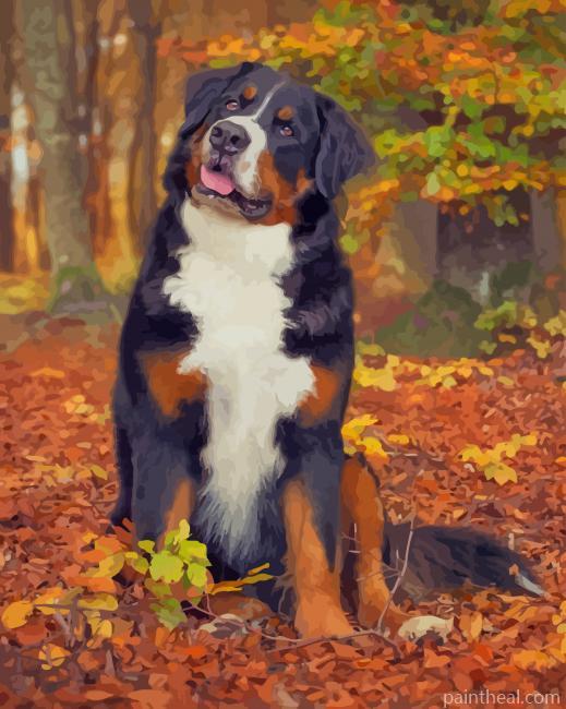 Bernese Mountain Dog Fall Painting By Numbers Kits