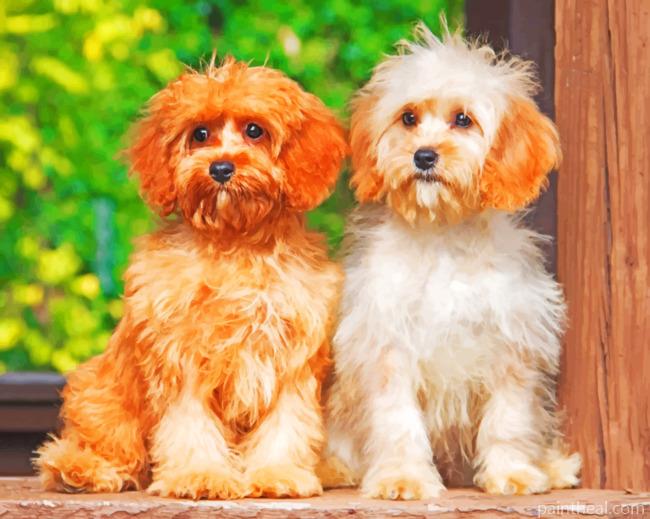 Cavapoo Dogs Painting By Numbers Kits