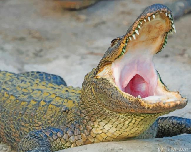 Alligator Painting By Numbers Kits