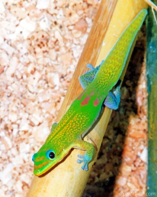 Green Gecko Painting By Numbers Kits