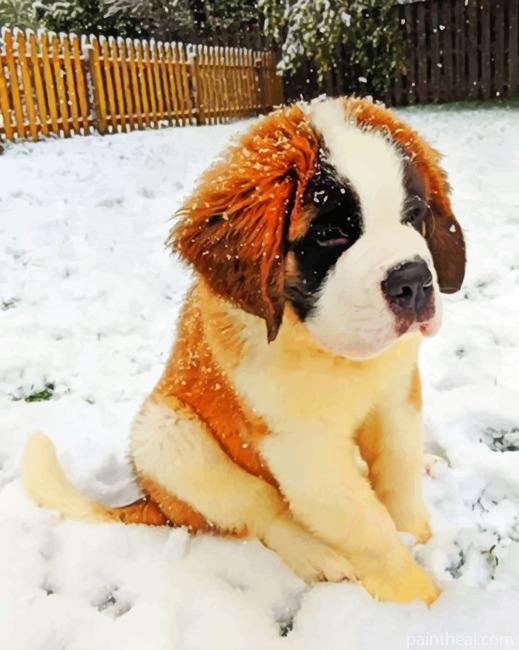 Little Saint Bernard Painting By Numbers Kits