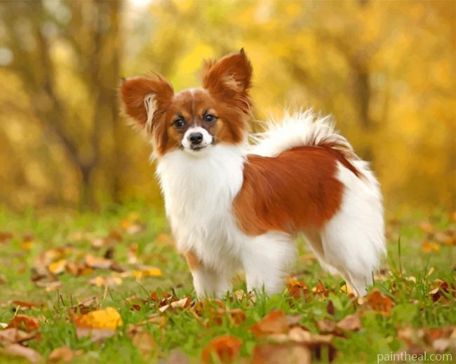 Papillon Puppy Painting By Numbers Kits