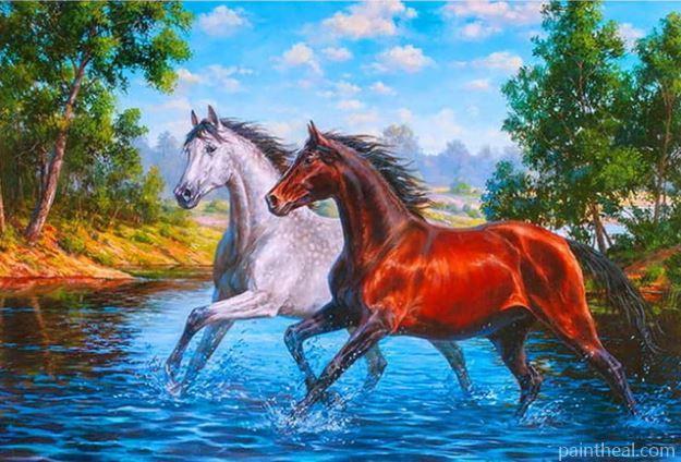 Brown And Grey Horse Painting By Numbers Kits